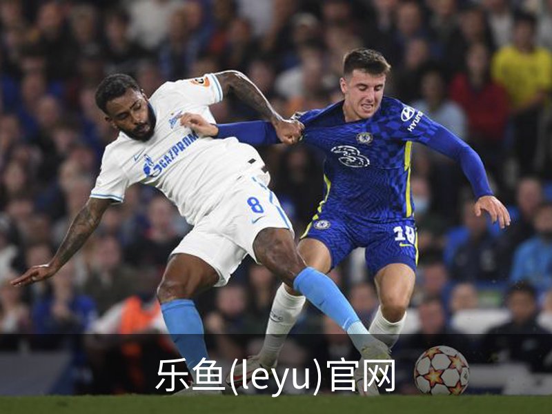 乐鱼(leyu)官网简介